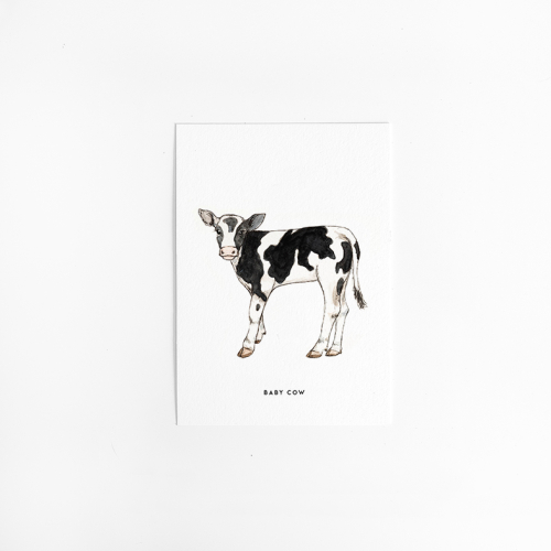 Postcard Calf - 10 pieces