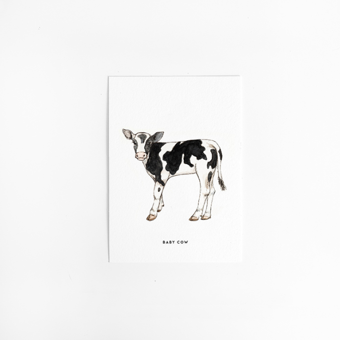 Postcard Calf - 10 pieces Postcard Calf - 10 pieces