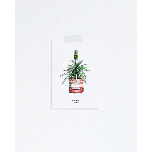 Postcard Plant Pineapple - 10 pieces