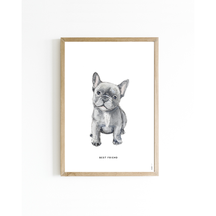 Mini poster Hond French bulldog 15x20 6 st.