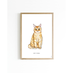 Mini poster Cat 15x20 6 st.