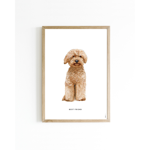 Mini poster Dog Labradoodle 15x20 6 st.