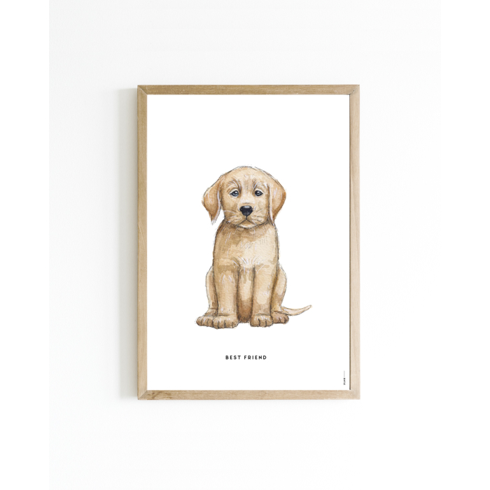 Mini poster Hond Labrador 15x20 6 st.