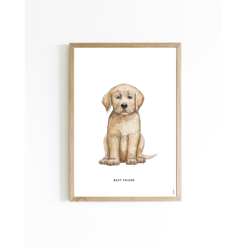 Mini poster Dog Labrador 15x20 6 st.