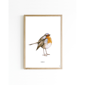 Mini poster Robin 15x20 6 st.
