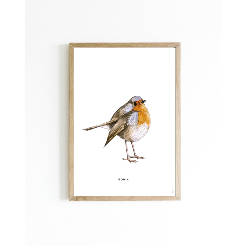 Mini poster Robin 15x20 6 st.