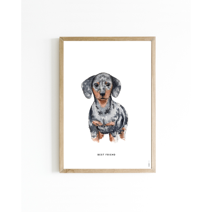 Mini poster Hond Teckel 15x20 6 st.