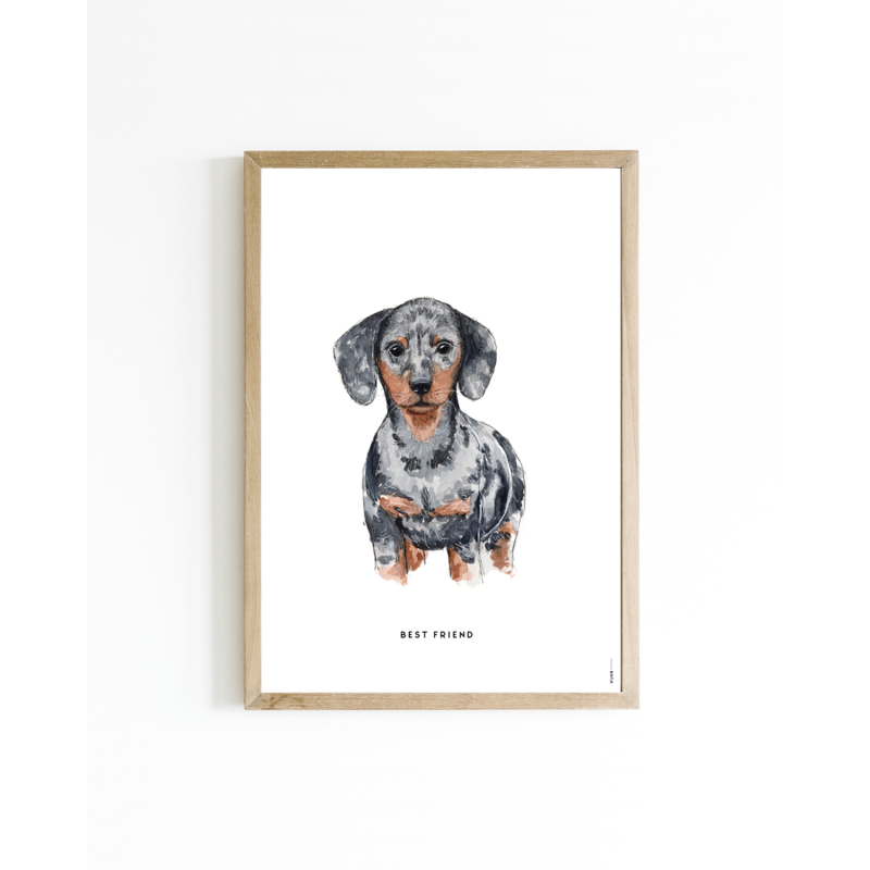 Mini poster Dog Dashund 15x20 6 st.
