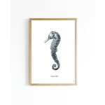 Mini poster Seahorse 15x20 6 st.