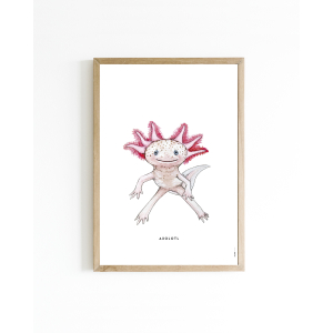 Mini poster Axolotl 15x20 6 st.