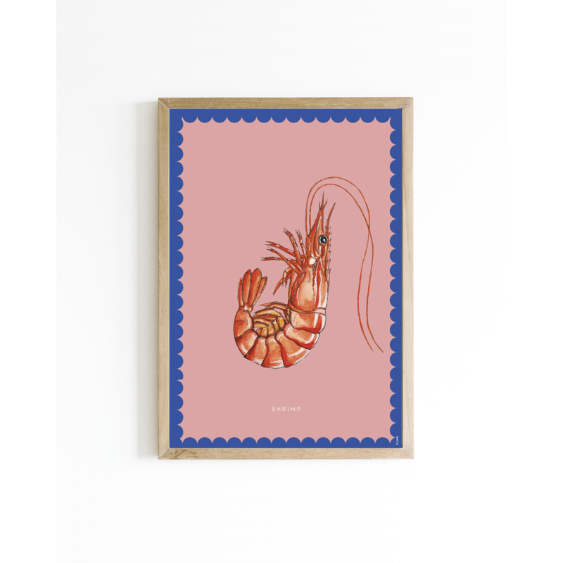 Mini poster Color Shrimp 15x20 6 st.