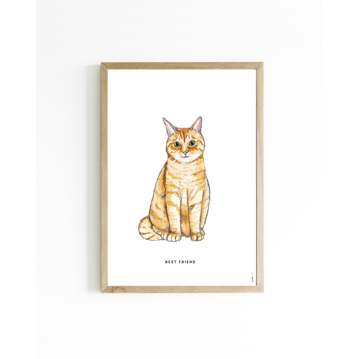 Mini poster Cat 15x20 6 st.