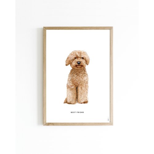 Mini poster Dog Labradoodle 15x20 6 st.