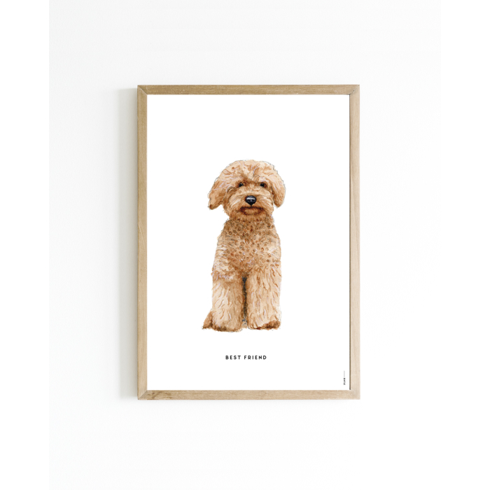 Mini poster Hond Labradoodle 15x20 6 st.