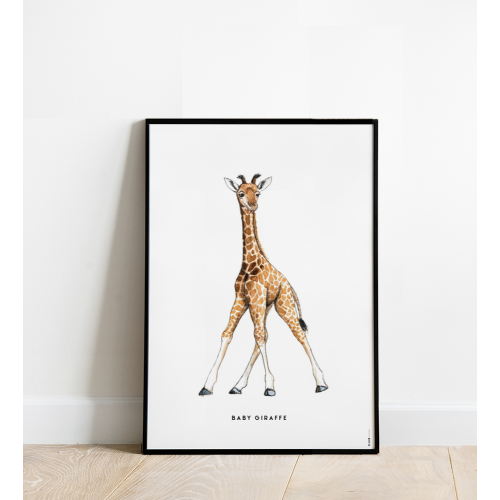 Poster Baby Giraf 50x70 4 st.
