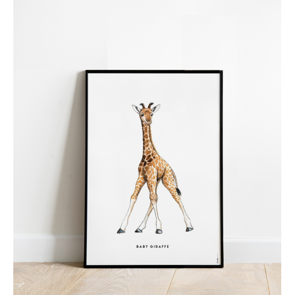 Poster Baby Giraf 50x70 6 st