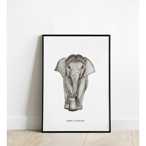 Poster Baby Olifant 50x70 4 st.