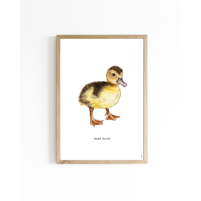 A. Poster Baby Eend A4 6 st.