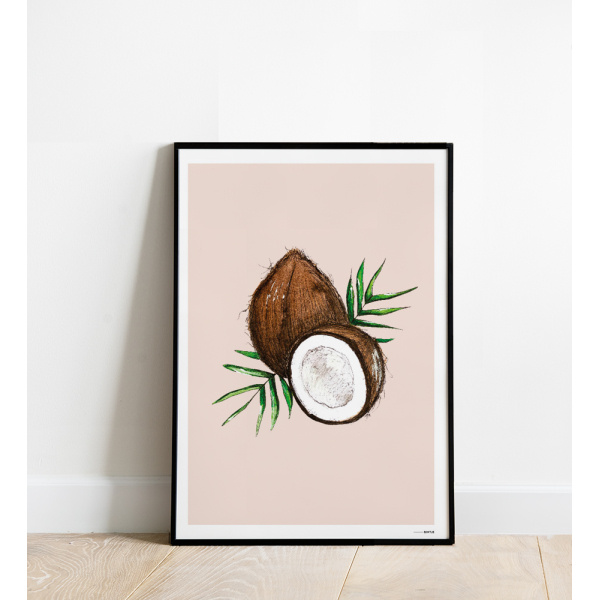 Poster F Cocosnoot 15x20 6 st Poster F Cocosnoot 15x20 6 st