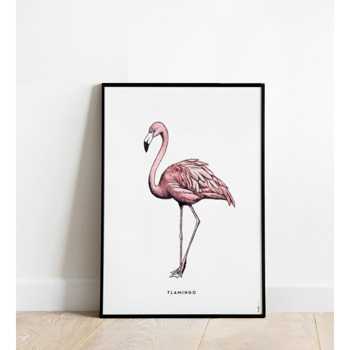 Poster Flamingo 50x70 4 st.