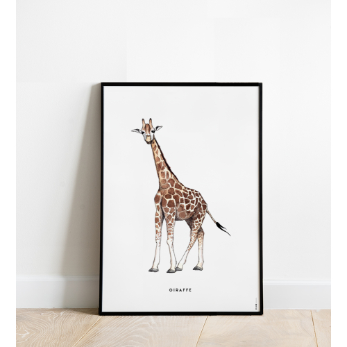Poster Giraf 50x70 4 st.