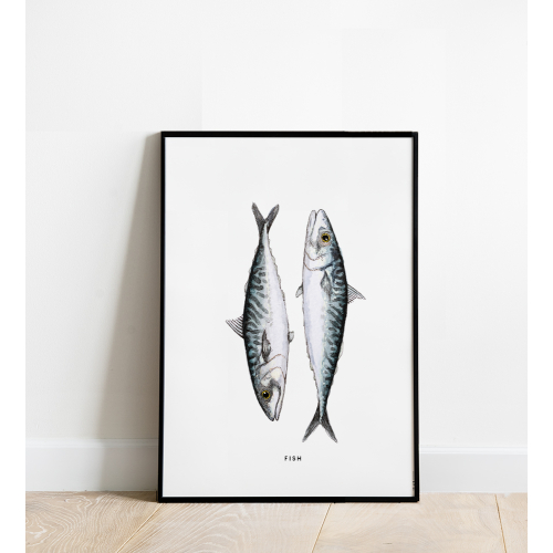 Poster Fish 50x70 4p