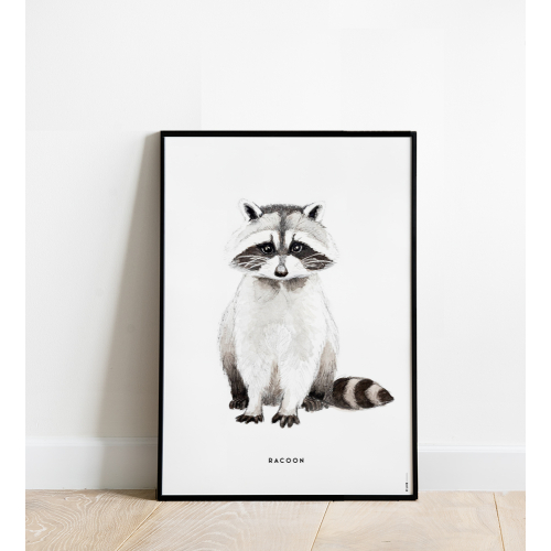 Poster Racoon 50x70 4 st.