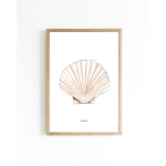 15x20 Poster D Schelp 6 st.
