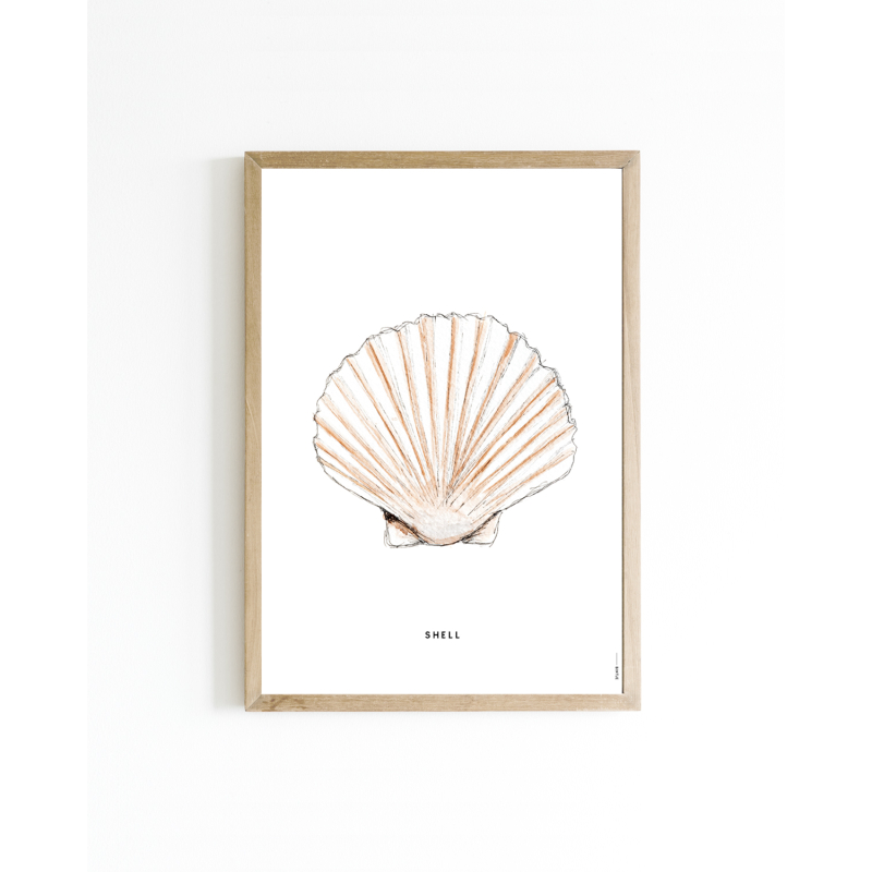 15x20 Poster D Schelp 6 st.