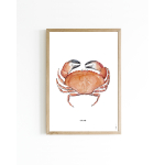 Poster A Crab A4 6 st.