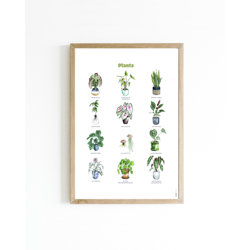 Poster Plants 30x40 4 st.