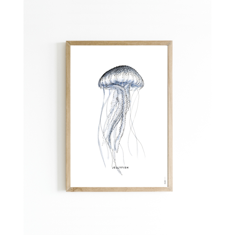 15x20 Poster D Kwal 6 st.