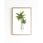 15x20 Poster Palmen 6 st.