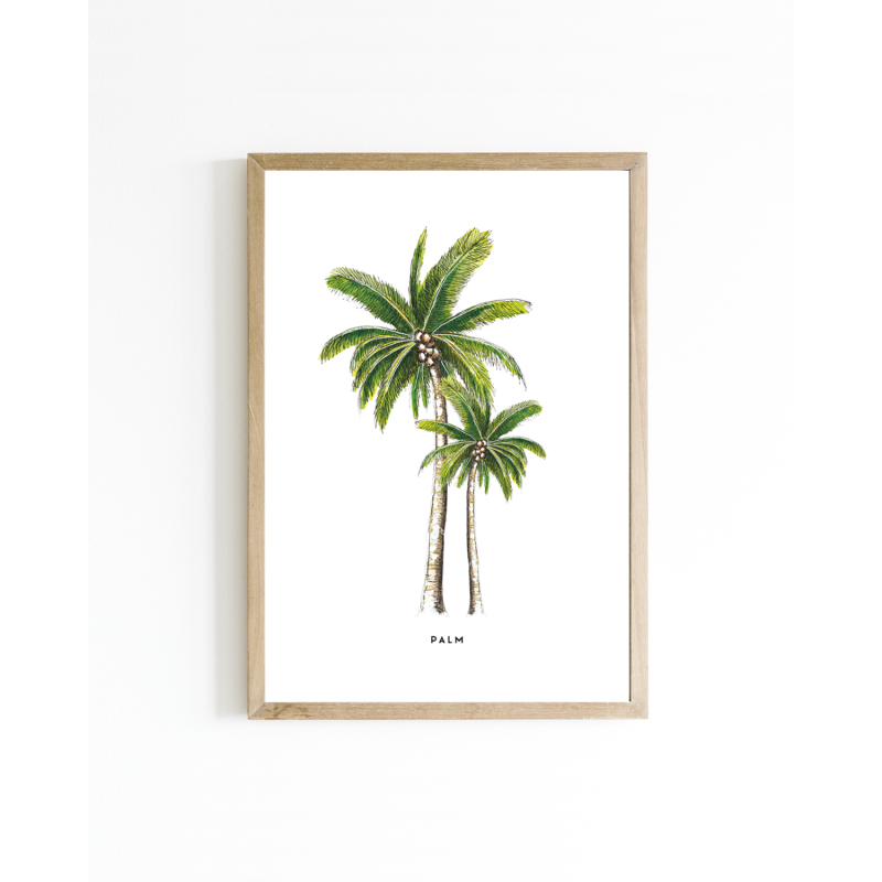 A. 15x20 poster Palmen 6 st.