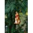 Kerstbal Rode poes - 4 stuks PRE-ORDER